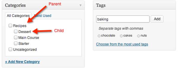 wordpress-categories-and-tags