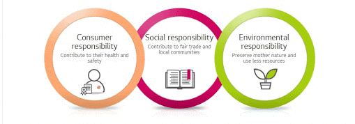 social responsibility