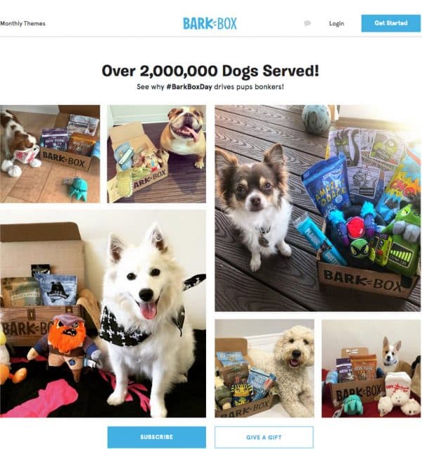 barkbox-ugc