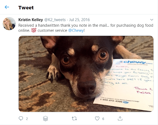 dog-with-chewy-thank-you-note