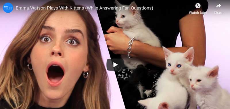 BuzzFeed and Best Friends Animal Society video featuring Emma Watson playing with cute kittens.