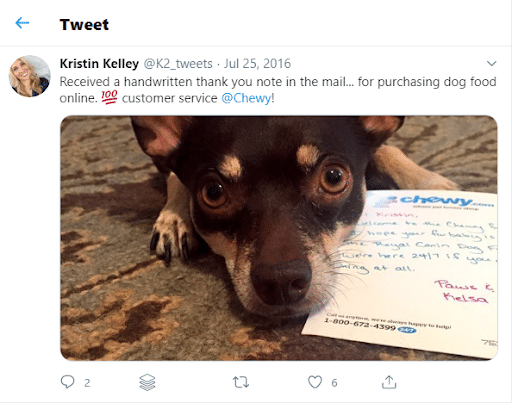 Chewy thank you note, with customer's dog