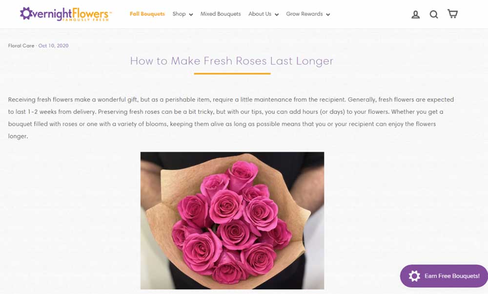 overnight-flowers-linkbuilding-example