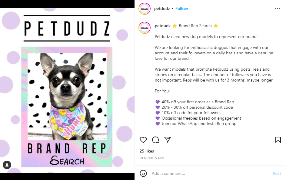petdudz small business brand ambassador