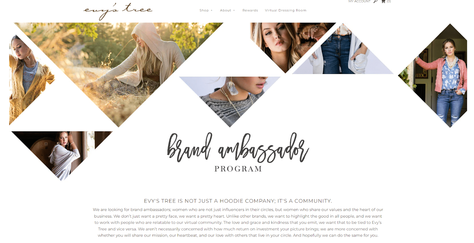 awesome-brand-ambassador-application-template-9-examples