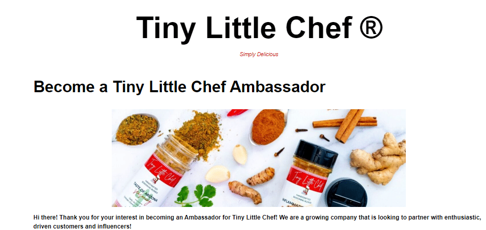 tiny little chef brand ambassador application form