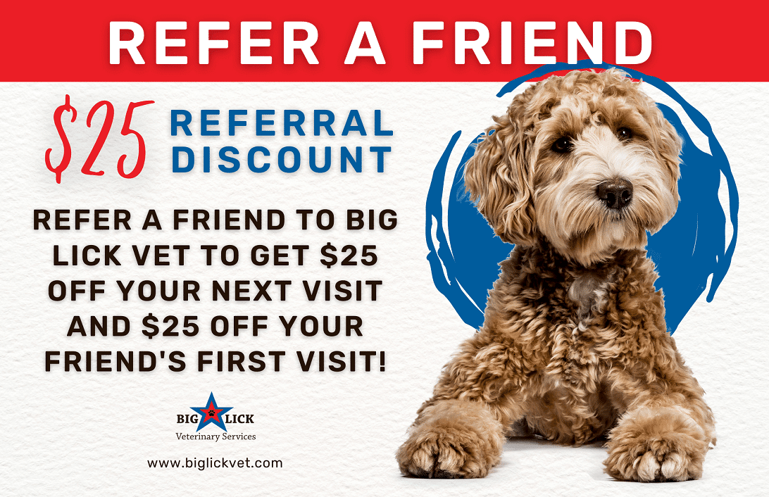 dual sided referral program reward